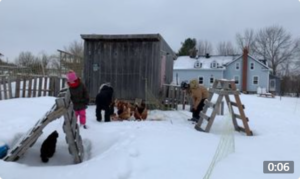 video thumbnail image