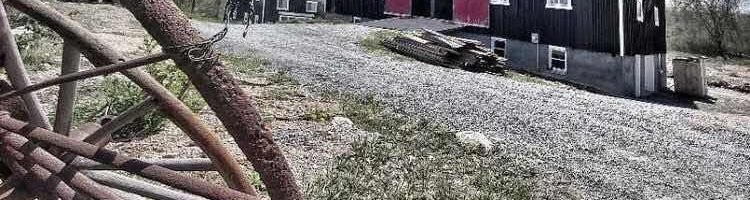 Cross Cultural Event at AlinkA Farm