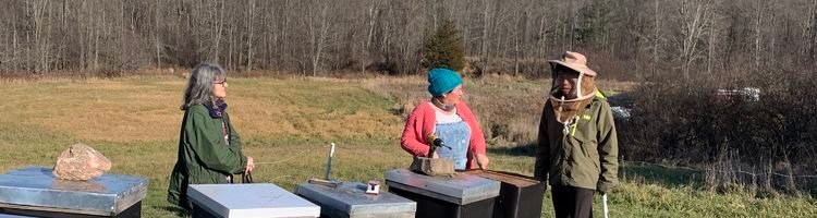 First Snowfall of 2020