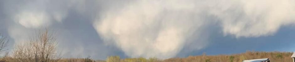 Health Tips from AlinkA Farm: Dealing with Anxiety