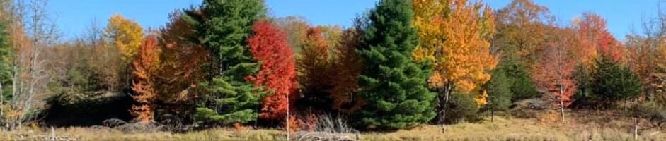 Chinese Double Ninth Festival